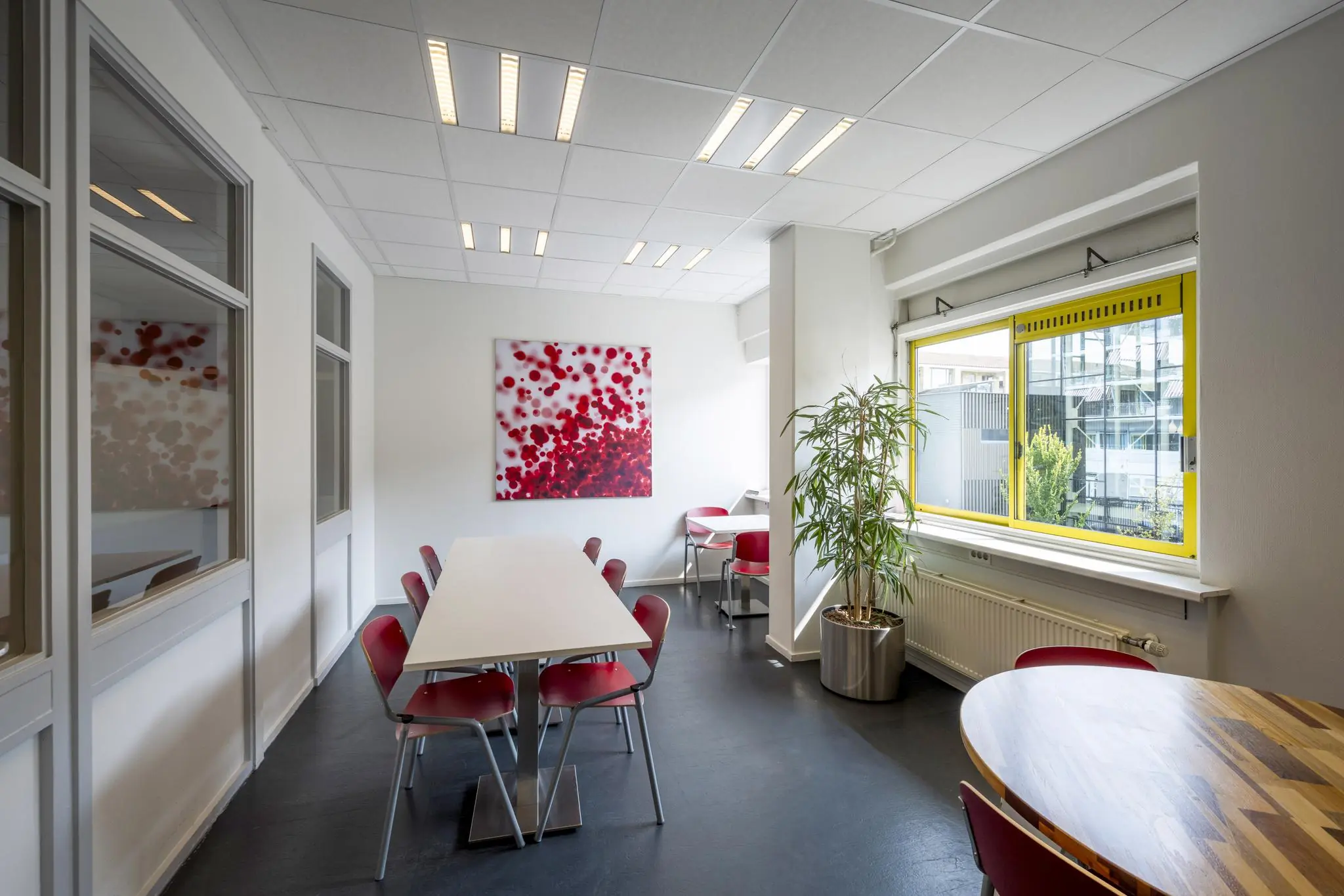 Kantineruimte aan de Jan Tooropstraat met witte muren, rode stoelen, moderne kunst aan de muur en grote ramen met geel kozijn.